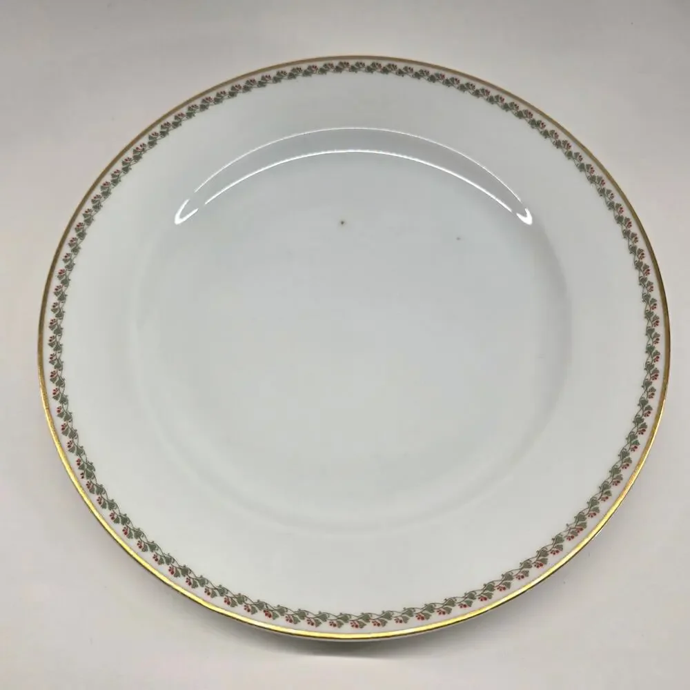 Haviland Limoges France Floral Gold Rim Dinner Plates Lot of 6 10
